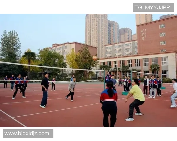 杭州排球队的精神风貌与团队意识探讨：排球运动中的团结与拼搏精神